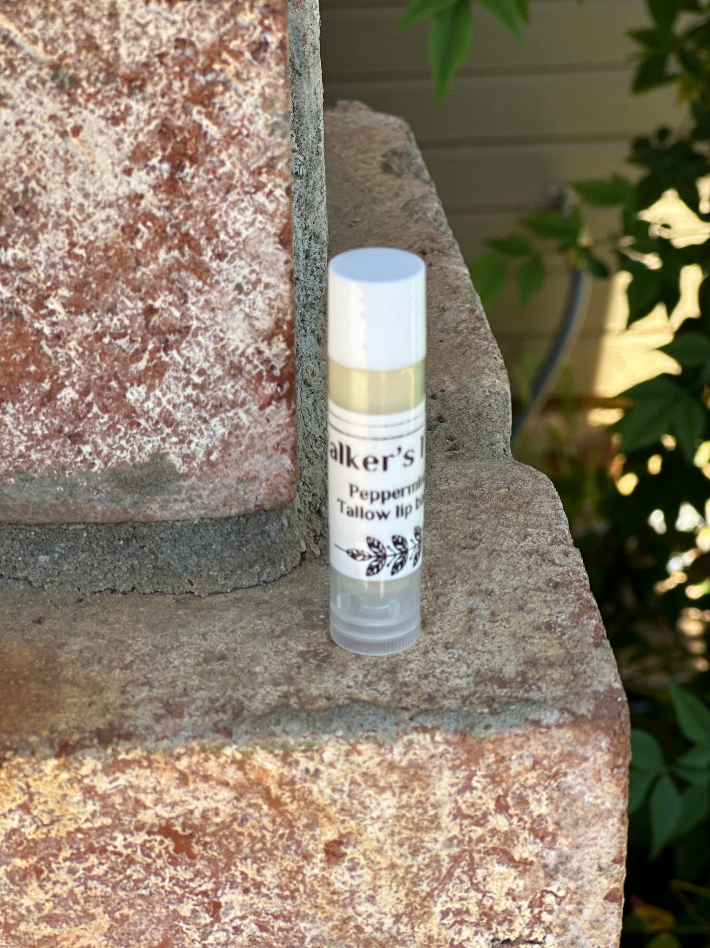 Peppermint Tallow lip balm
