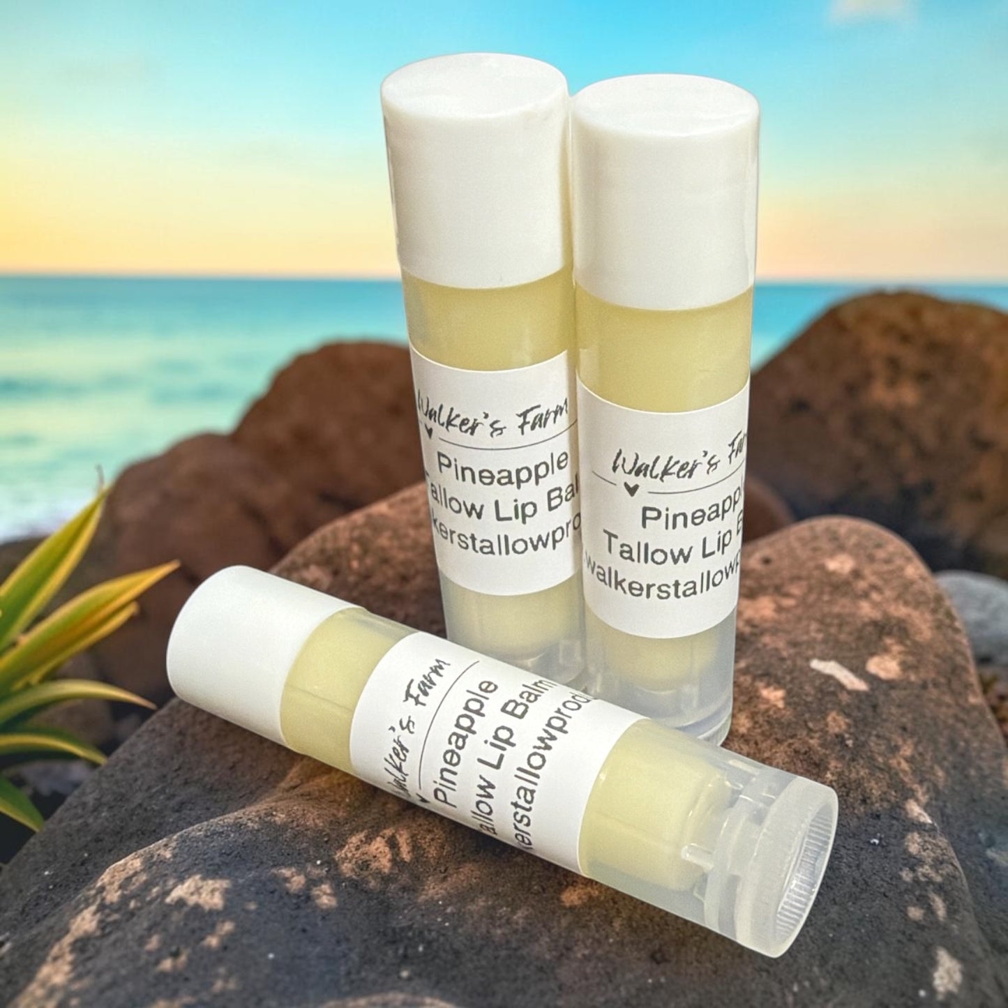 Pineapple tallow lip balm