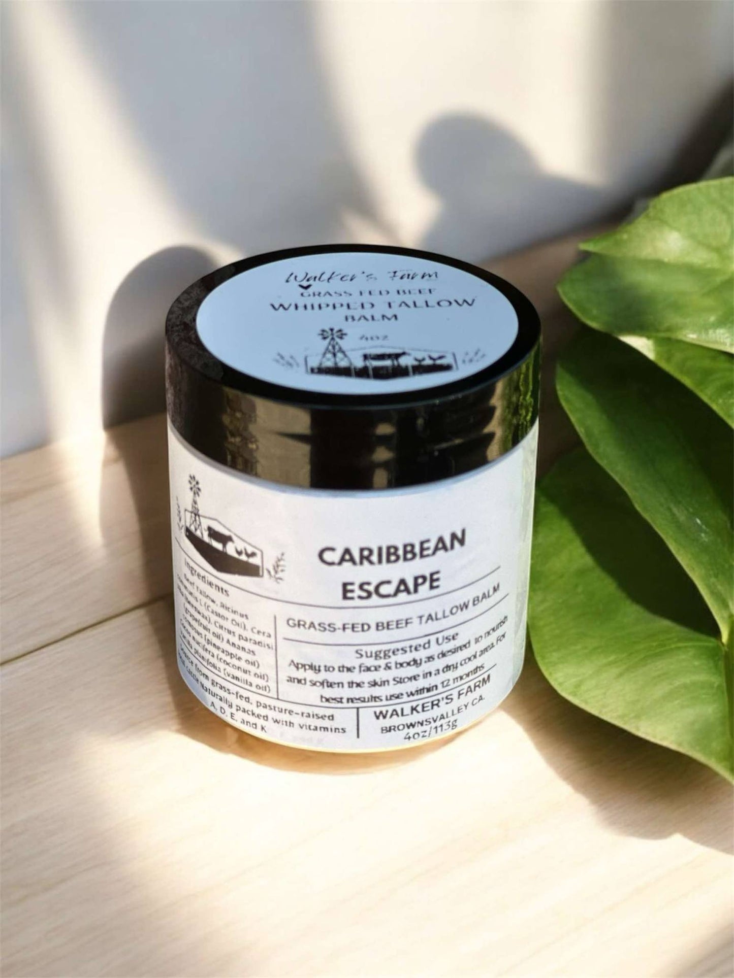Caribbean Escape Tallow Balm