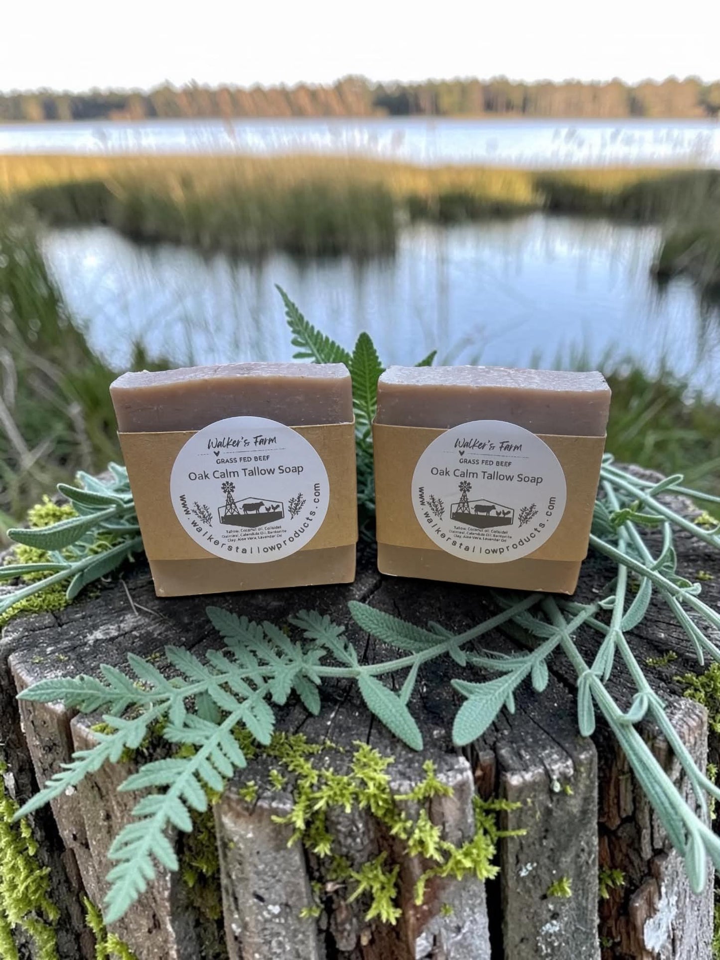 Oak Calm Tallow Soap