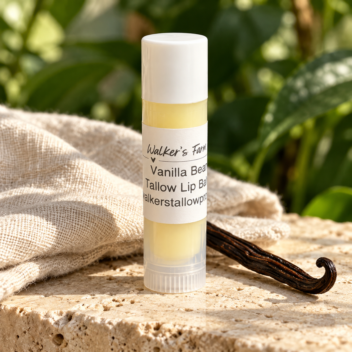 Vanilla Bean Tallow Lip Balm