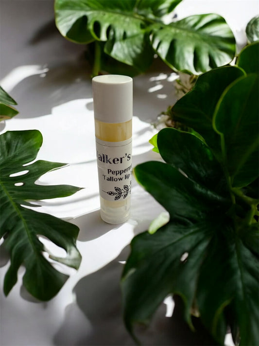 Peppermint Tallow lip balm