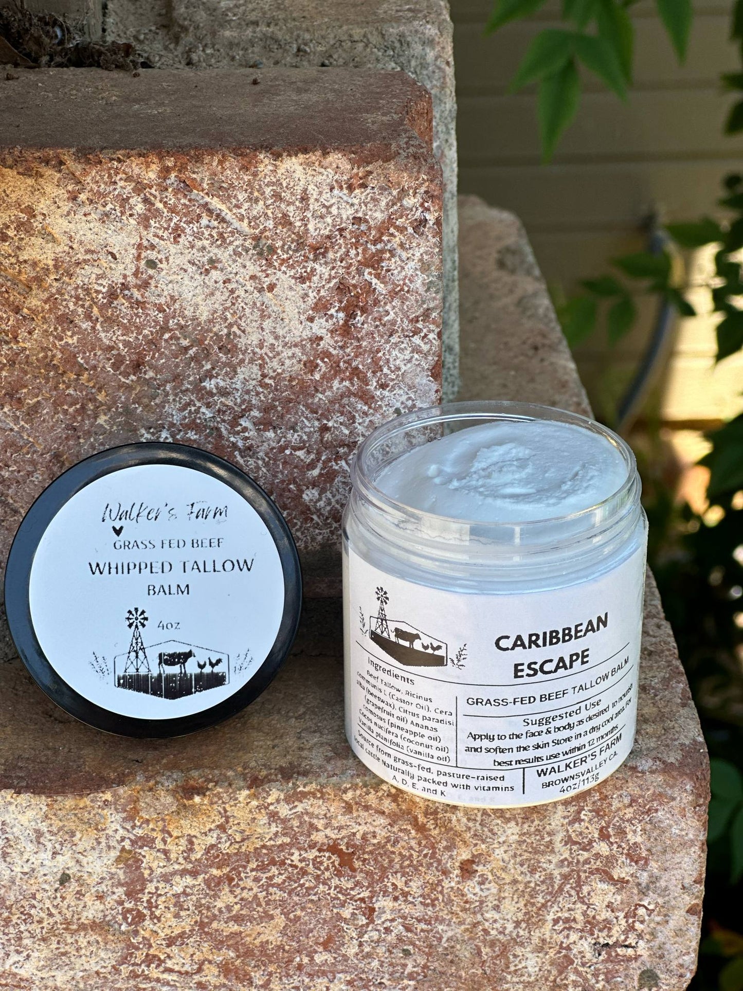 Caribbean Escape Tallow Balm