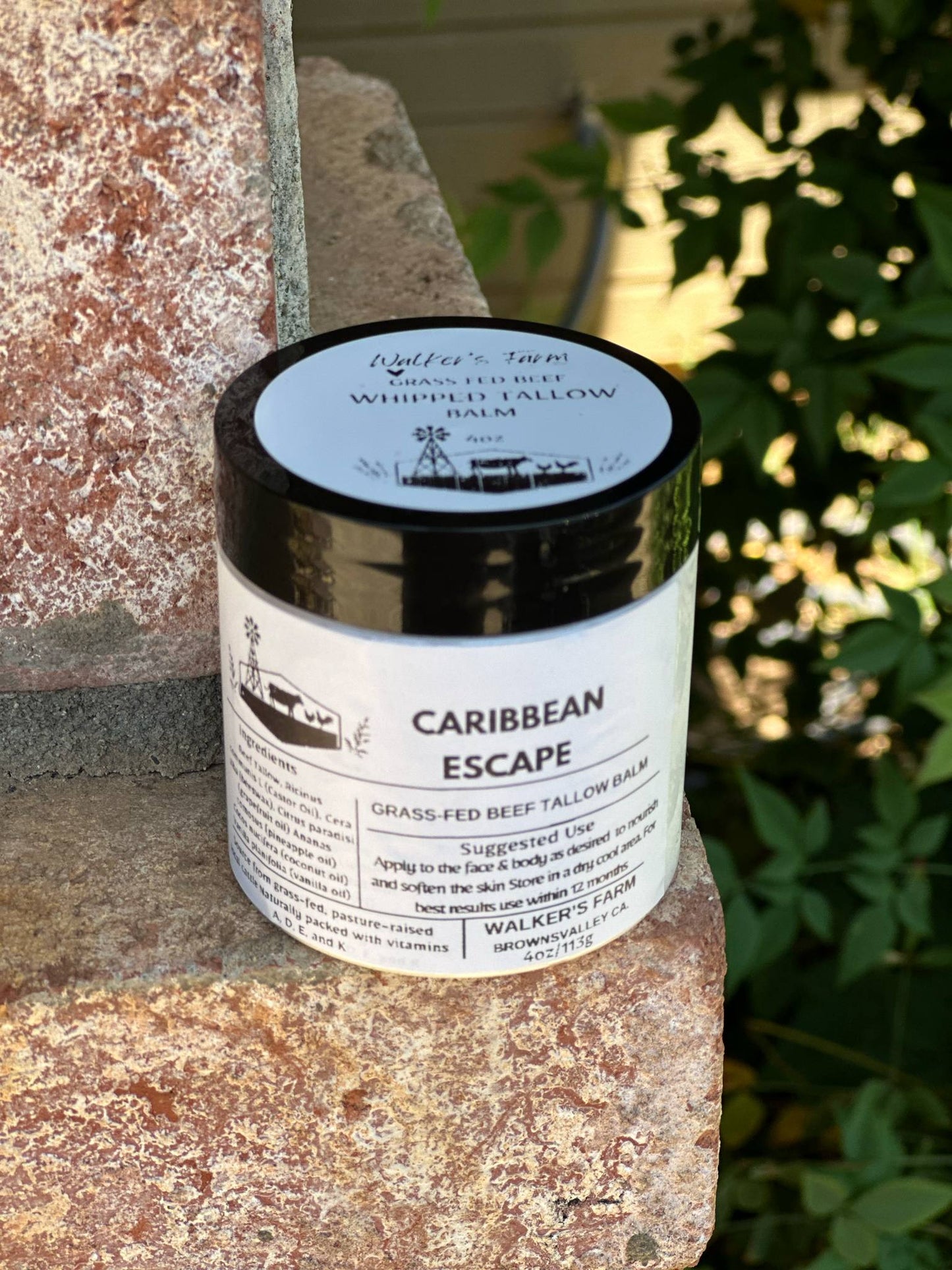 Caribbean Escape Tallow Balm