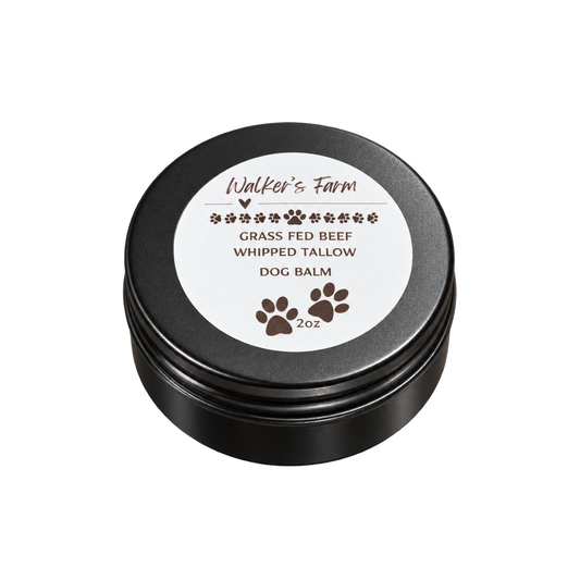 Tallow Dog Paw & Nose Balm